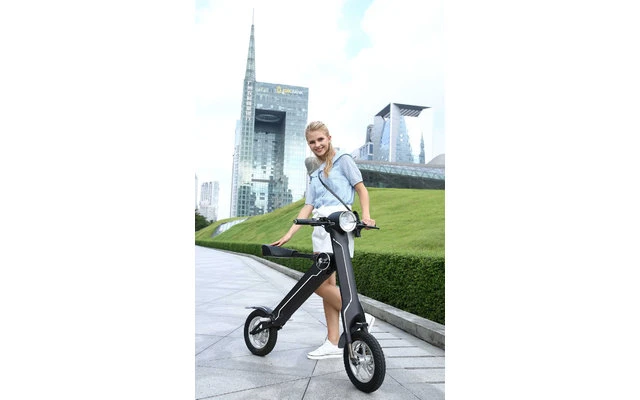 Lehe K1 + E-Mofa Olivgrün 2 Lehe K1 + E-Mofa Olivgrün – Bild 2