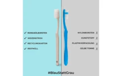 Chinchilla Zahnbürste Biologisch Abbaubar 1 Stück 11 Chinchilla Zahnbürste Biologisch Abbaubar 1 Stück -Outwell Store 607835 4419203